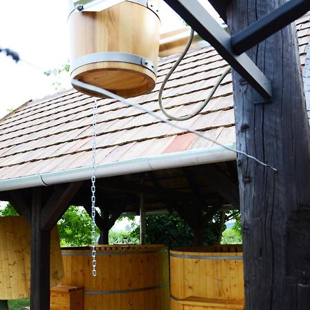 Falusi Patika - Tisza-tó Vendégház Tiszaszolos Extérieur photo